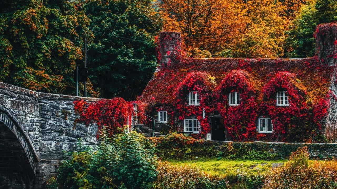 Sterling Bed & Breakfast Llandudno Pokoj fotografie